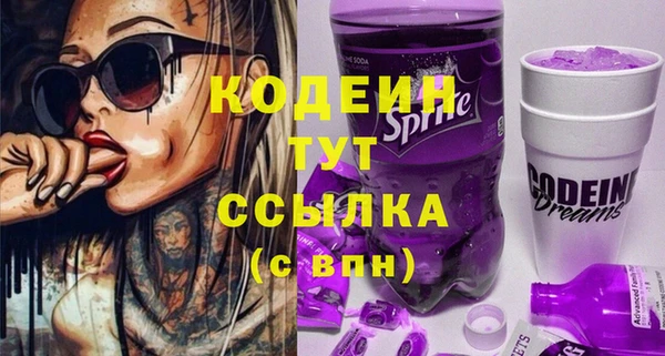 первитин Каменка