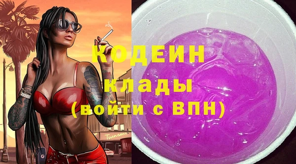 первитин Каменка